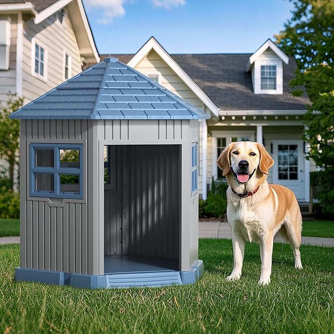 Pet Series