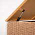 Close-up of lift-up storage box lid and supporting hinge mechanism